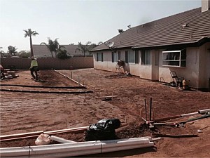 Sand Bedding